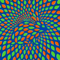 Daltonismes – Illusions chromatiques